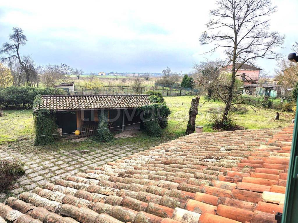 immagine annuncio 7 di 13