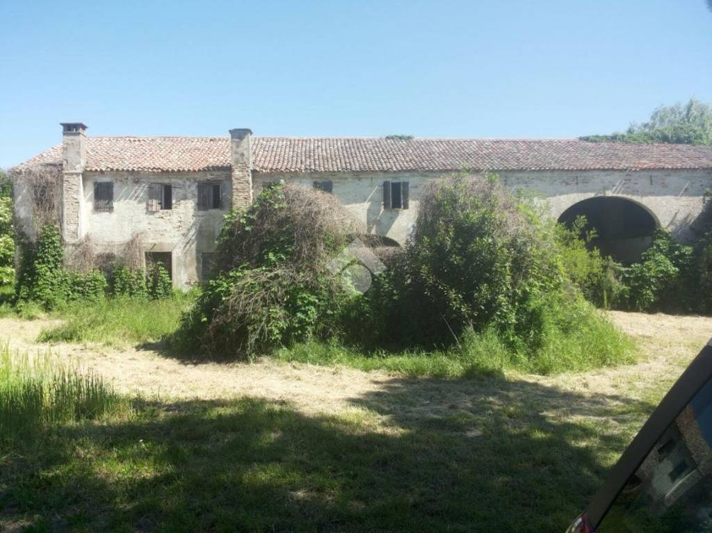 immagine annuncio 3 di 8