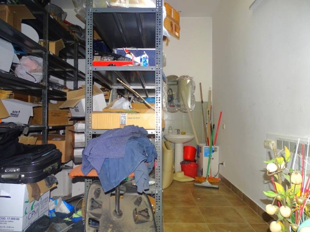 immagine annuncio 11 di 15