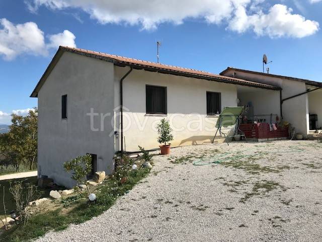 immagine annuncio 11 di 14