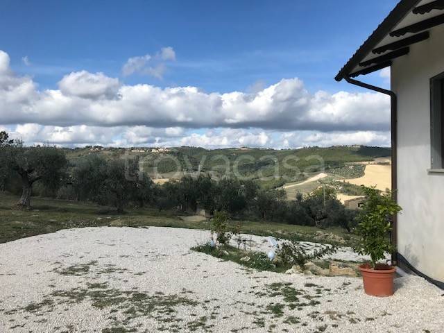 immagine annuncio 13 di 14