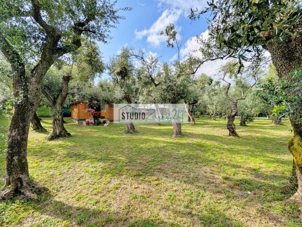 immagine annuncio 11 di 15