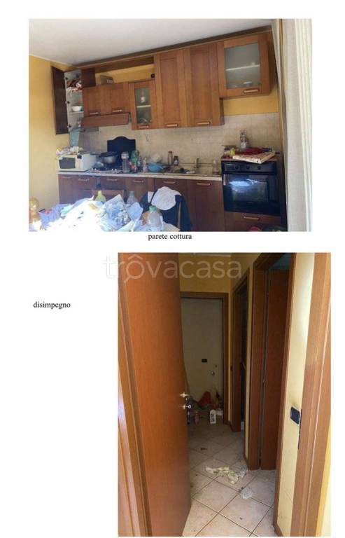 immagine annuncio 7 di 14