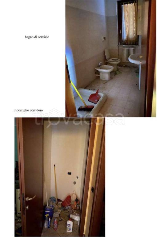 immagine annuncio 9 di 14