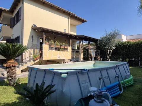 immagine annuncio 1 di 14