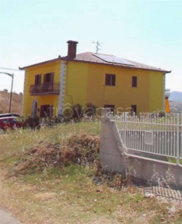 immagine annuncio 11 di 14