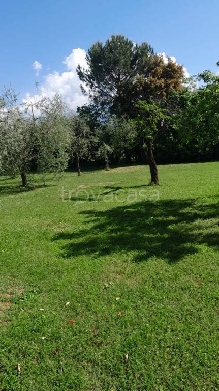 immagine annuncio 6 di 8