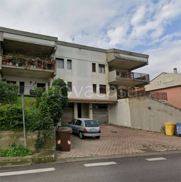immagine annuncio 4 di 14