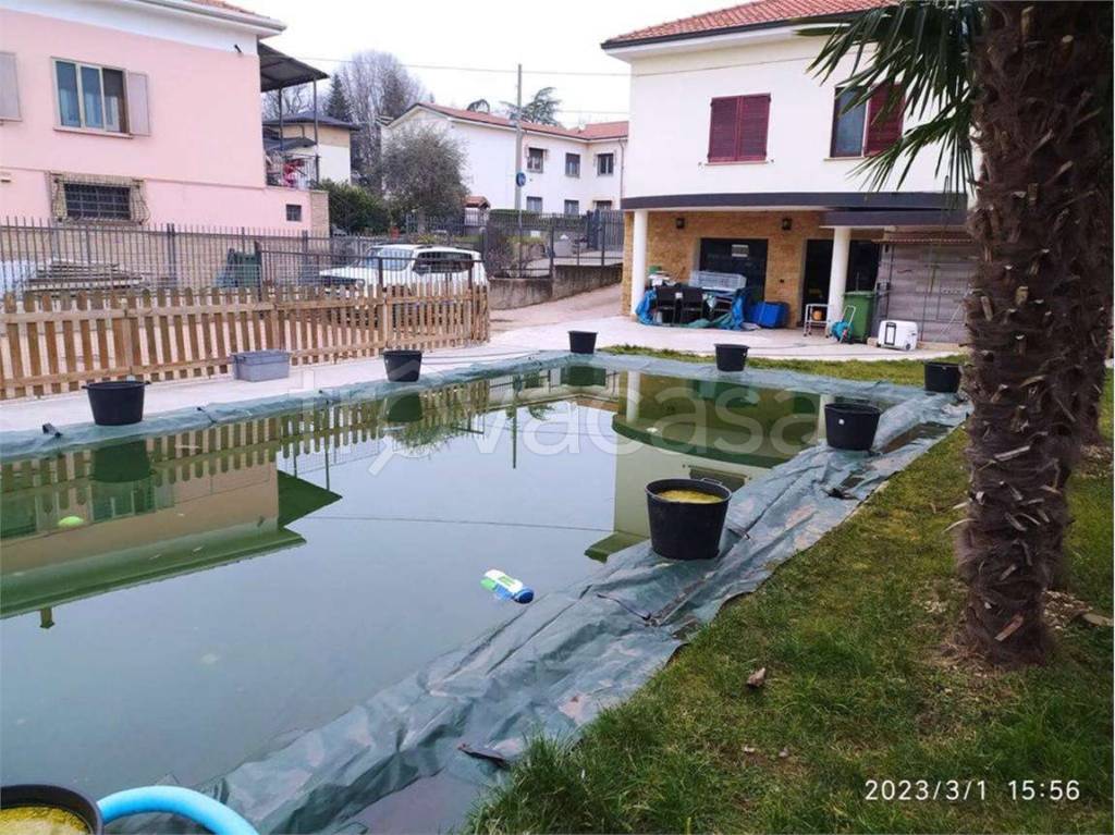 immagine annuncio 12 di 15