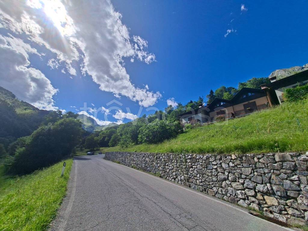 immagine annuncio 3 di 14