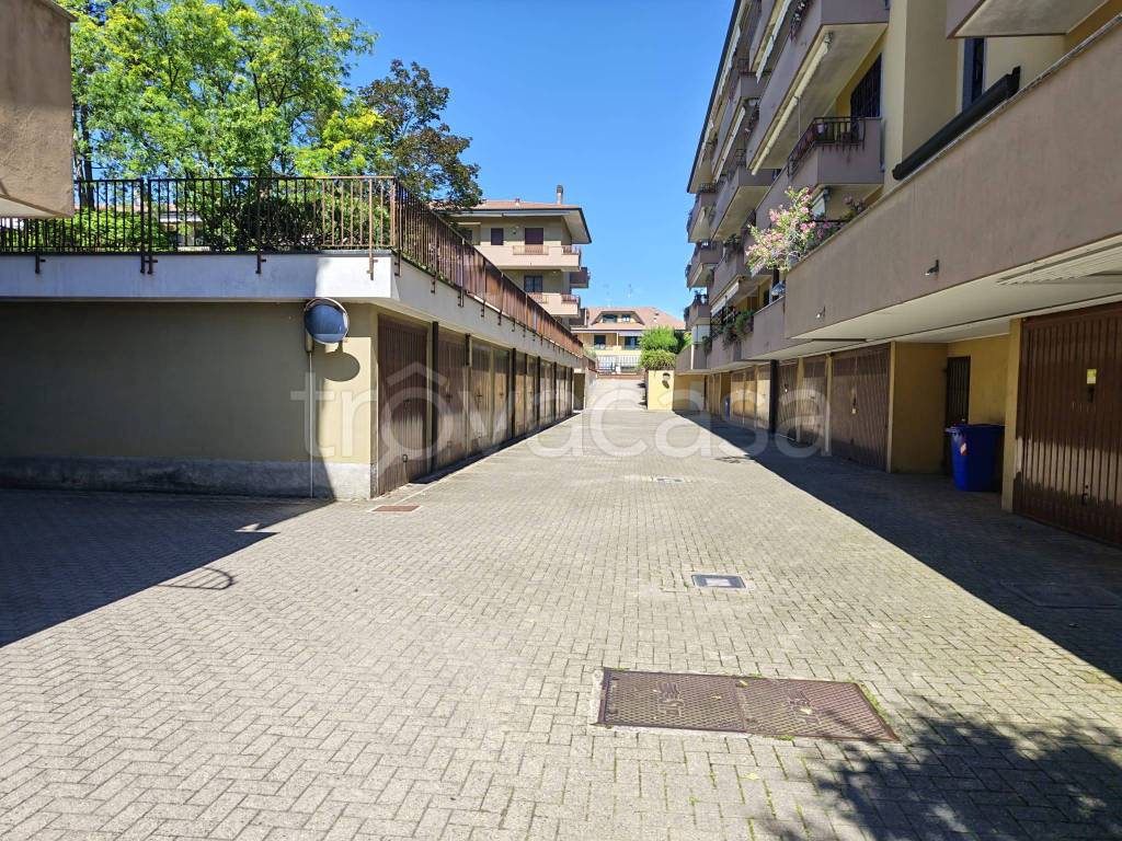 immagine annuncio 3 di 15