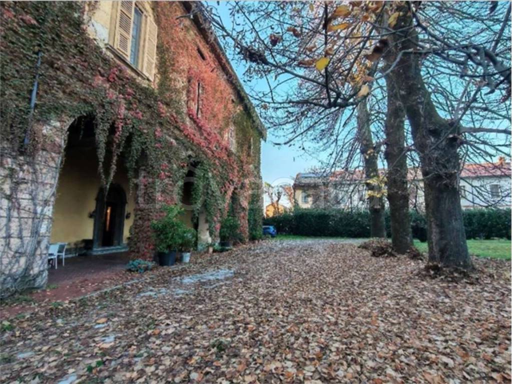 immagine annuncio 11 di 15