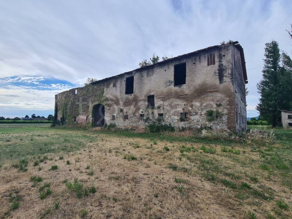 immagine annuncio 11 di 12