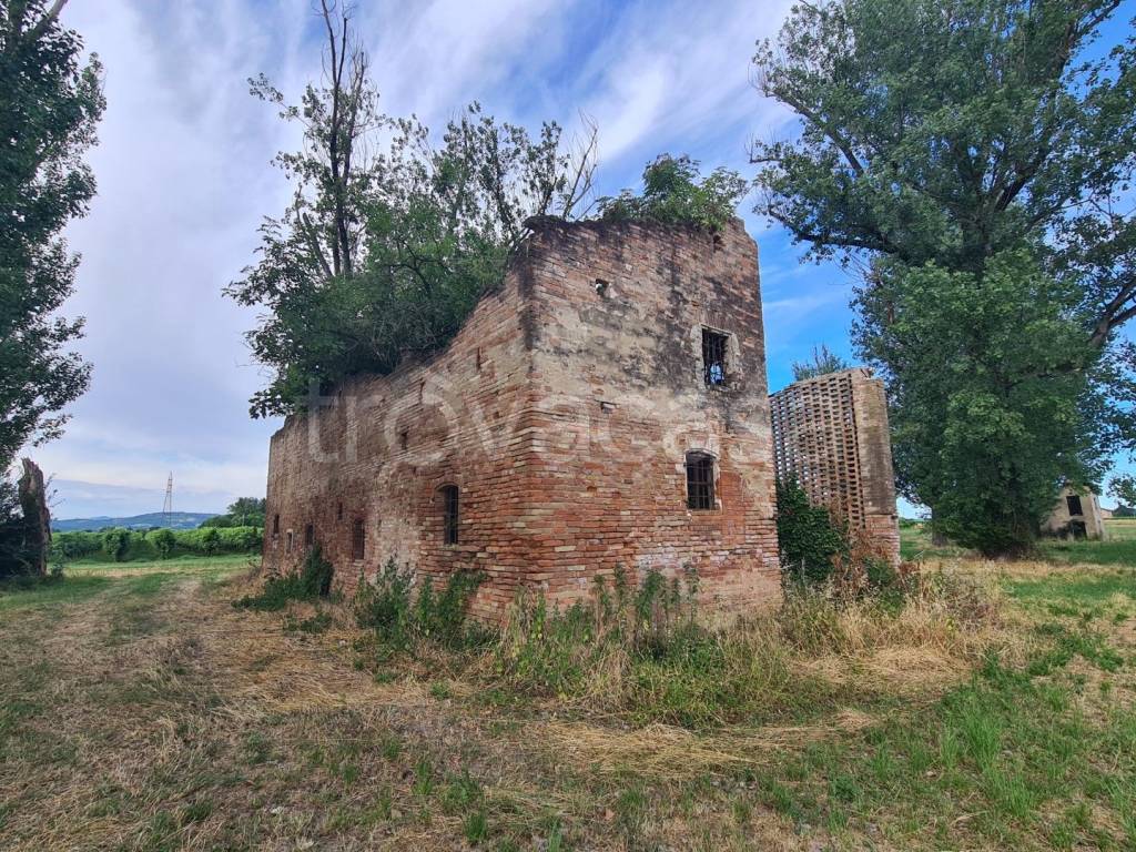 immagine annuncio 5 di 12