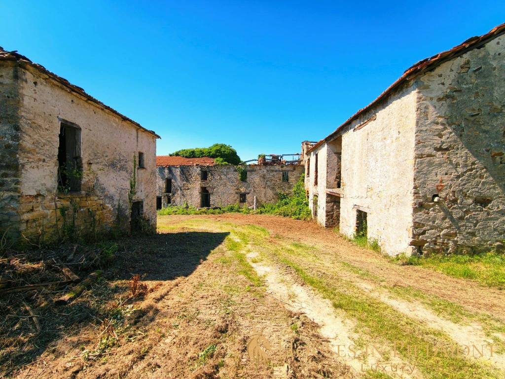 immagine annuncio 9 di 11