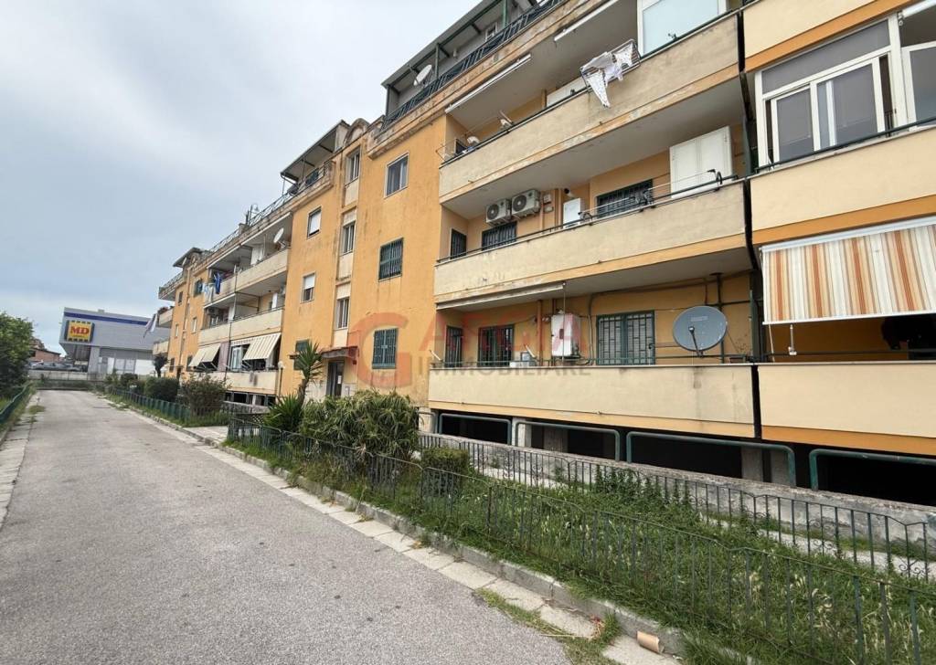 immagine annuncio 1 di 4