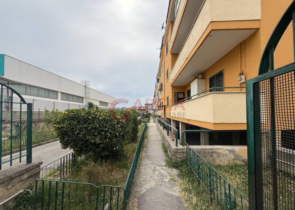 immagine annuncio 2 di 4
