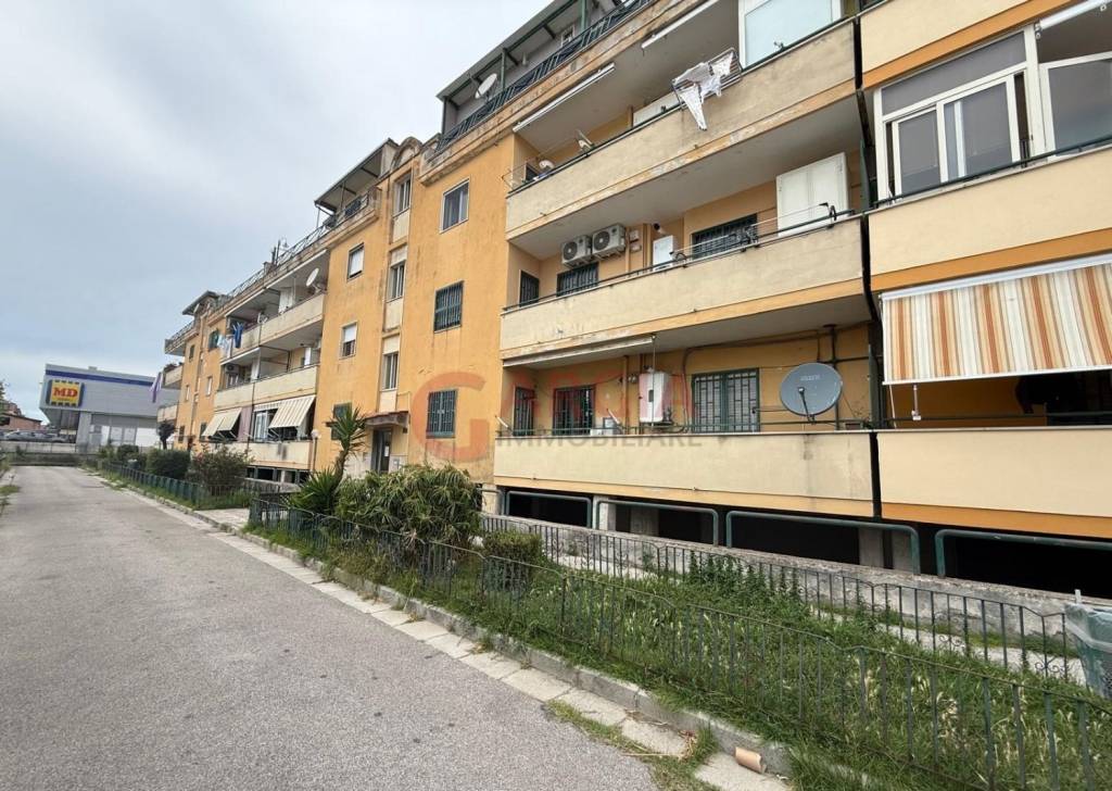 immagine annuncio 3 di 4