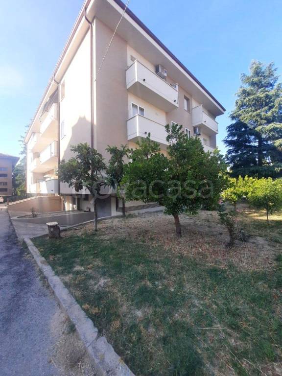 immagine annuncio 12 di 13