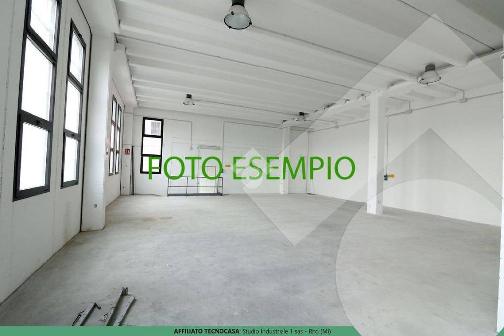 immagine annuncio 9 di 13