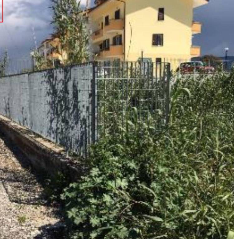 immagine annuncio 2 di 11