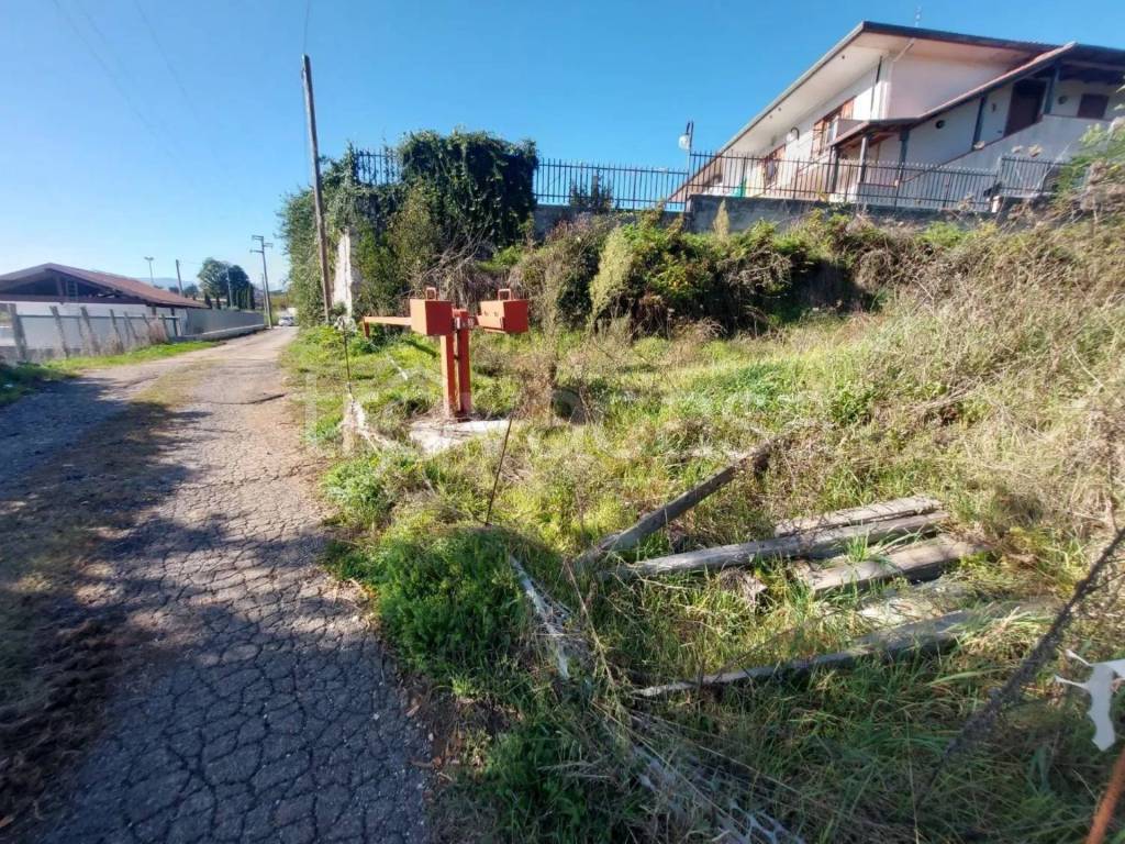 immagine annuncio 11 di 14