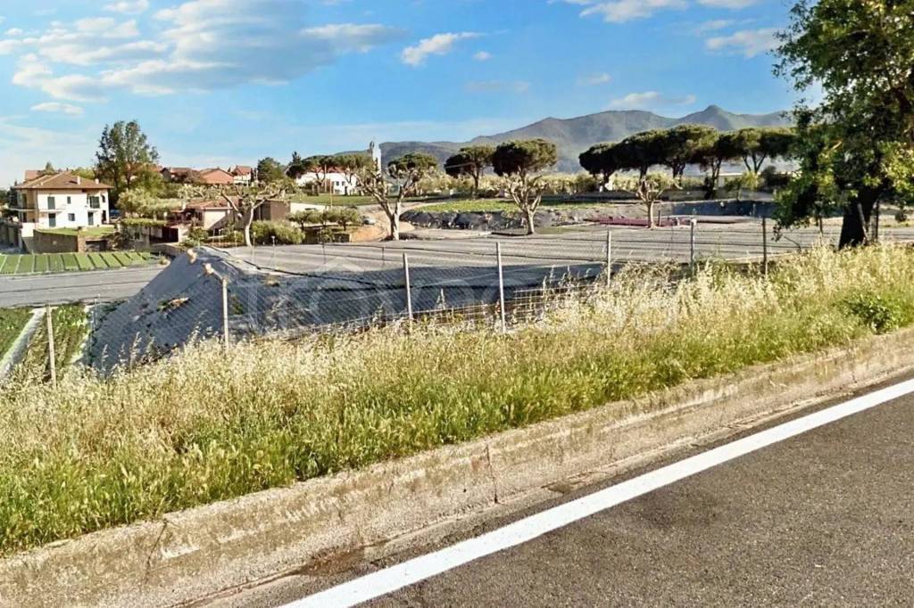 immagine annuncio 8 di 11