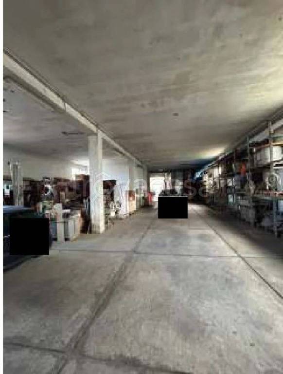 immagine annuncio 5 di 14