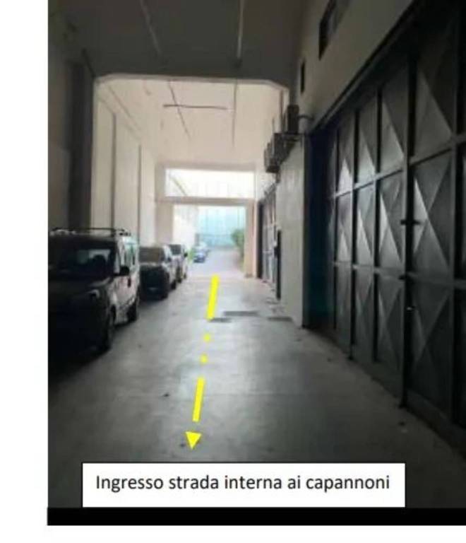 immagine annuncio 10 di 14