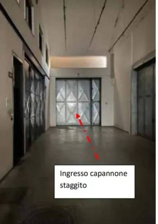 immagine annuncio 11 di 14