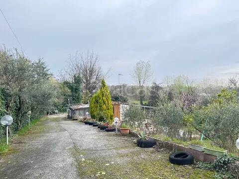 immagine annuncio 4 di 13