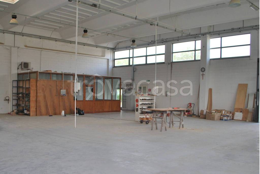 immagine annuncio 8 di 11