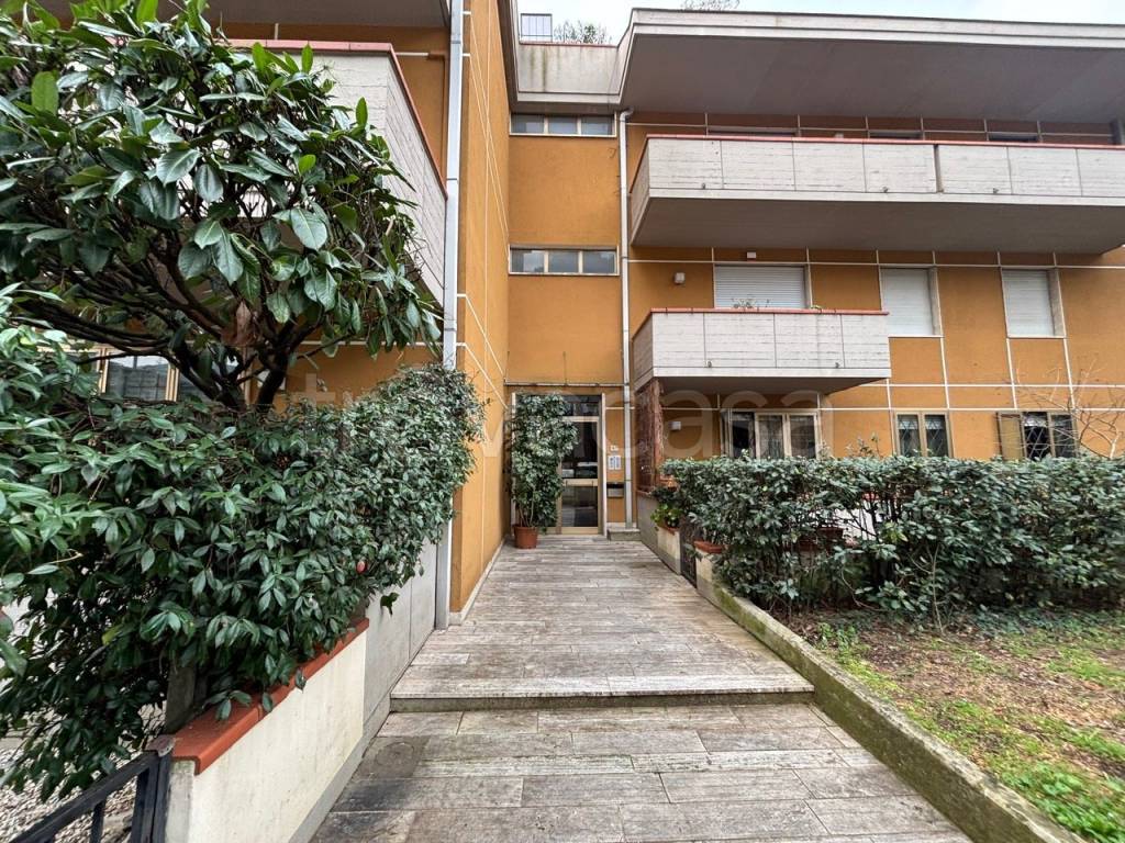 immagine annuncio 2 di 12