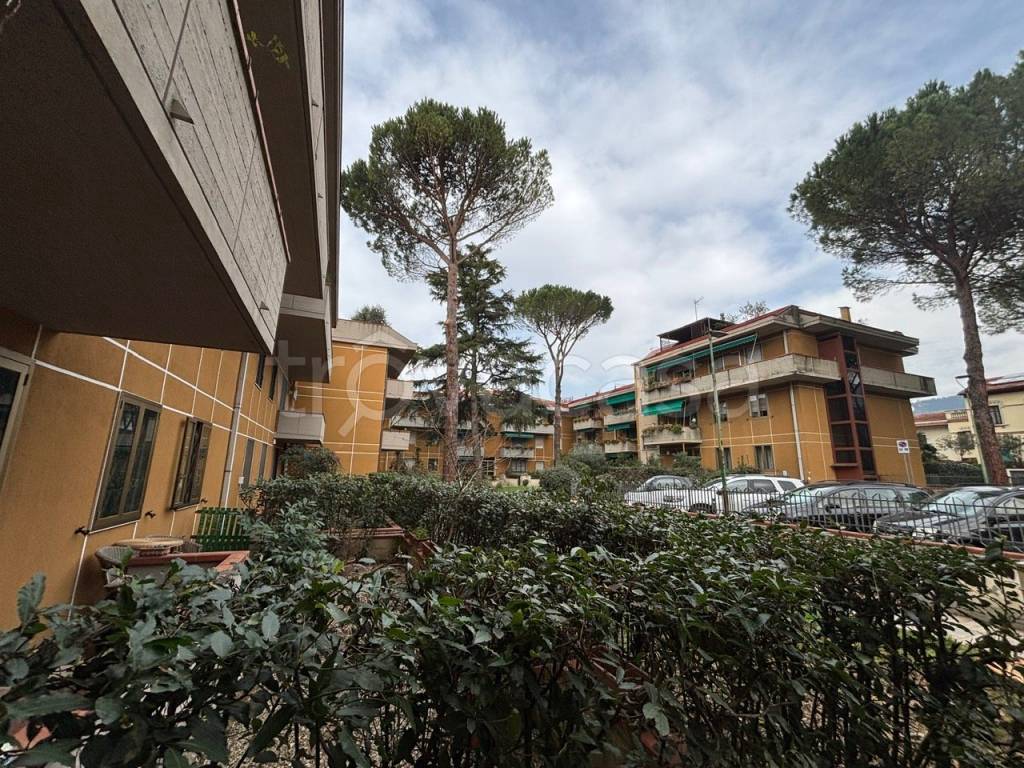 immagine annuncio 4 di 12