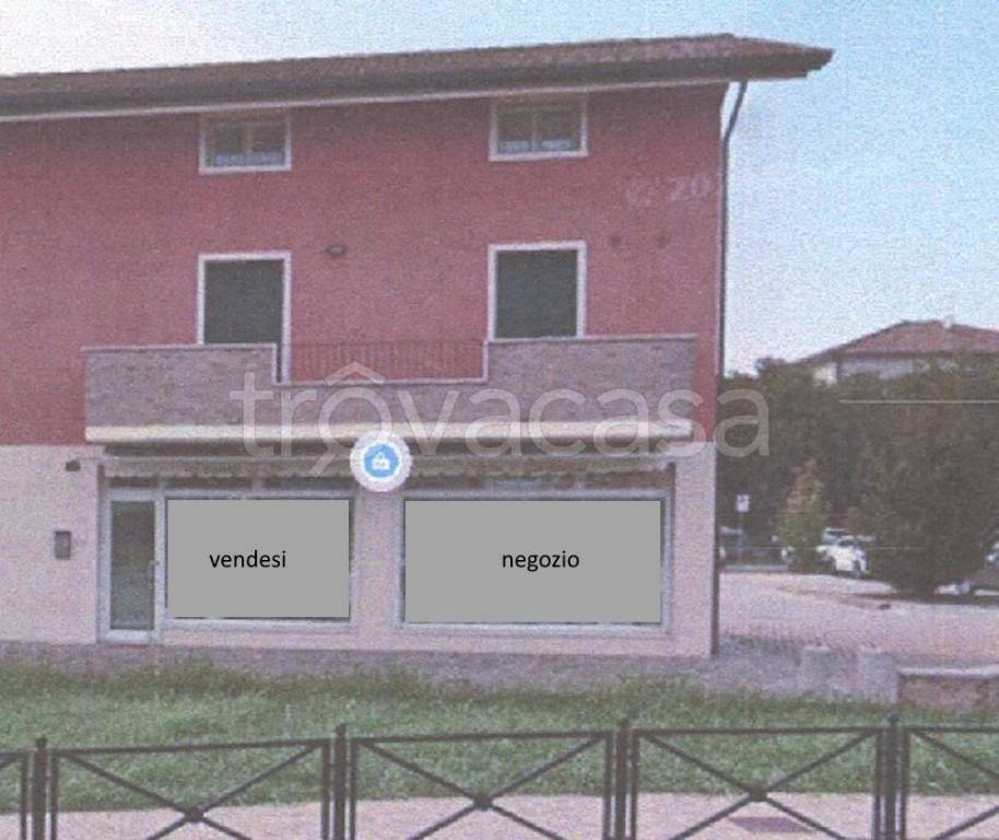 immagine annuncio 1 di 2