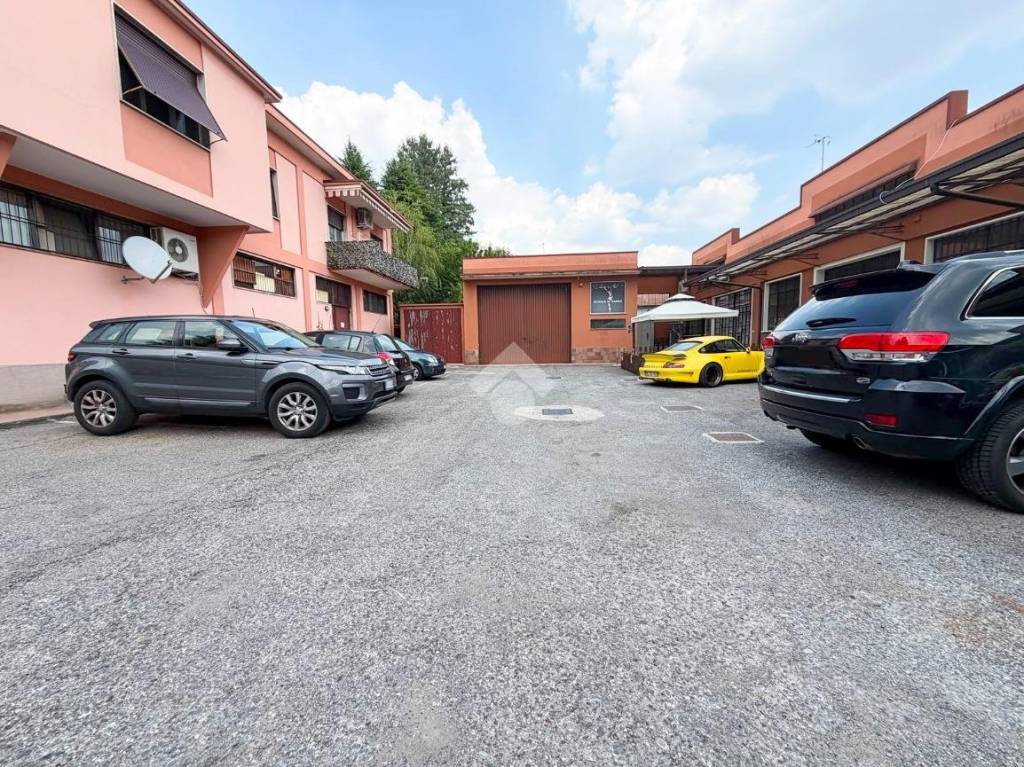 immagine annuncio 11 di 14