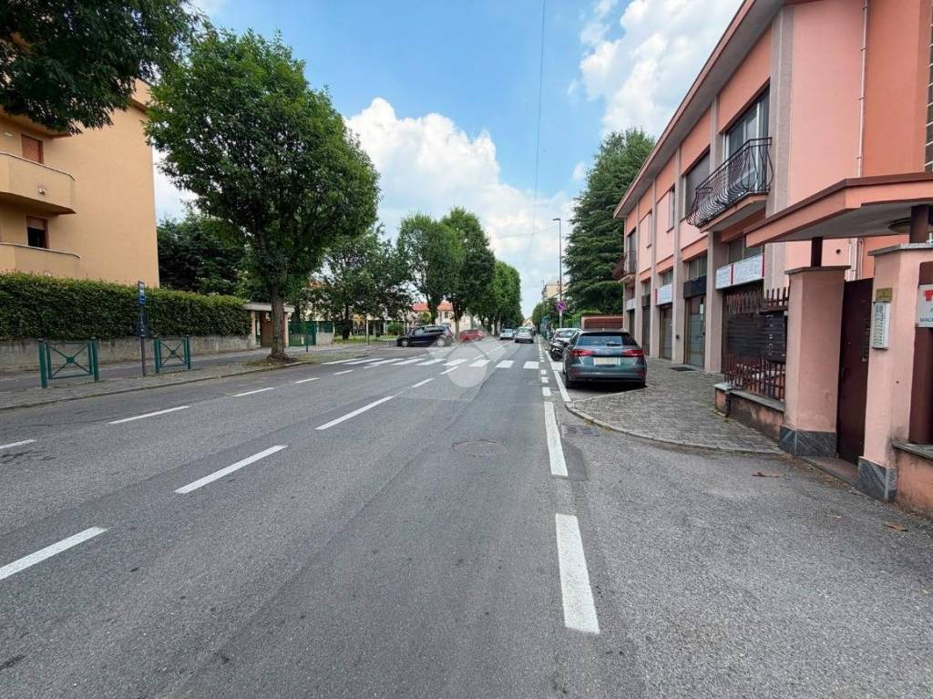 immagine annuncio 12 di 14