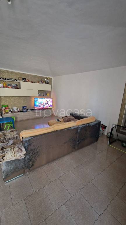 immagine annuncio 7 di 14