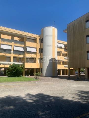 immagine annuncio 4 di 7
