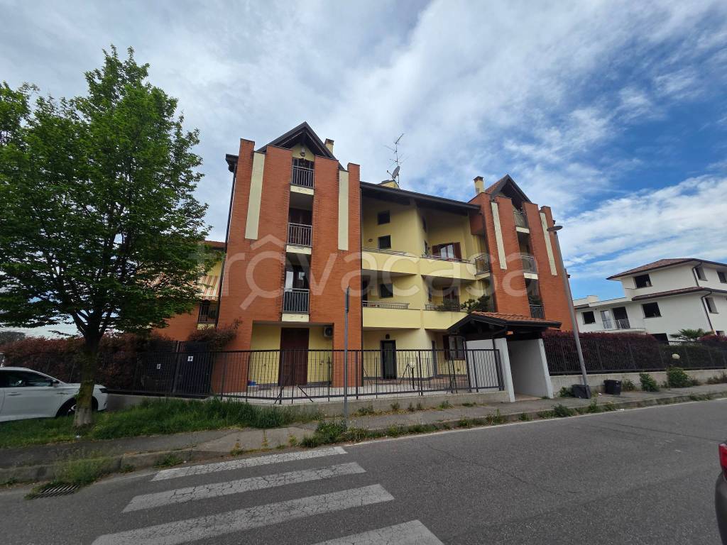 immagine annuncio 2 di 15