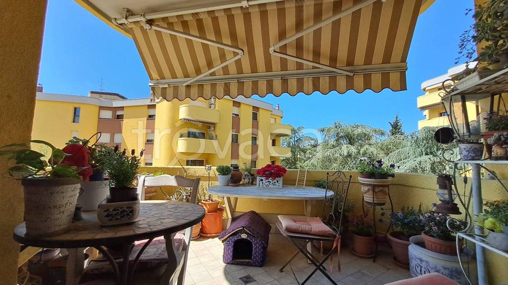 immagine annuncio 9 di 15