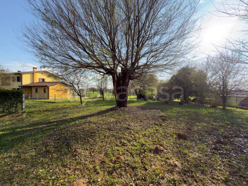 immagine annuncio 5 di 12