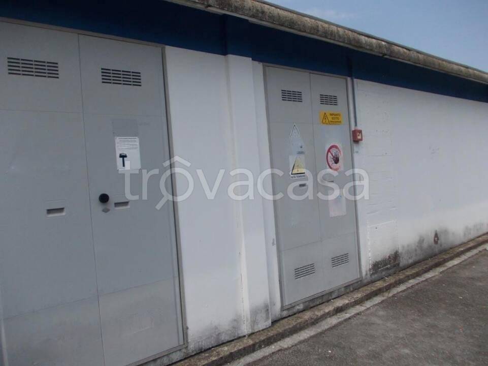 immagine annuncio 4 di 8