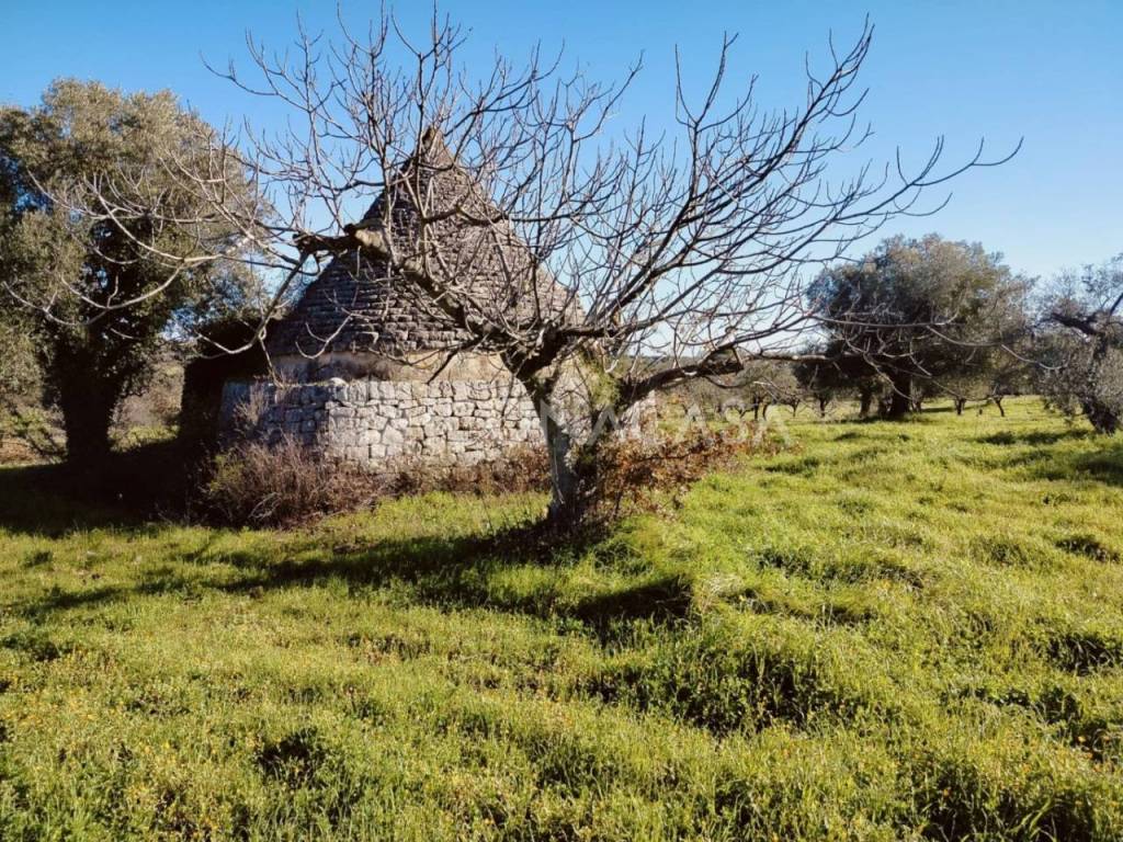 immagine annuncio 1 di 9