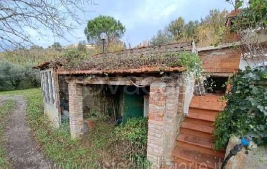 immagine annuncio 12 di 14