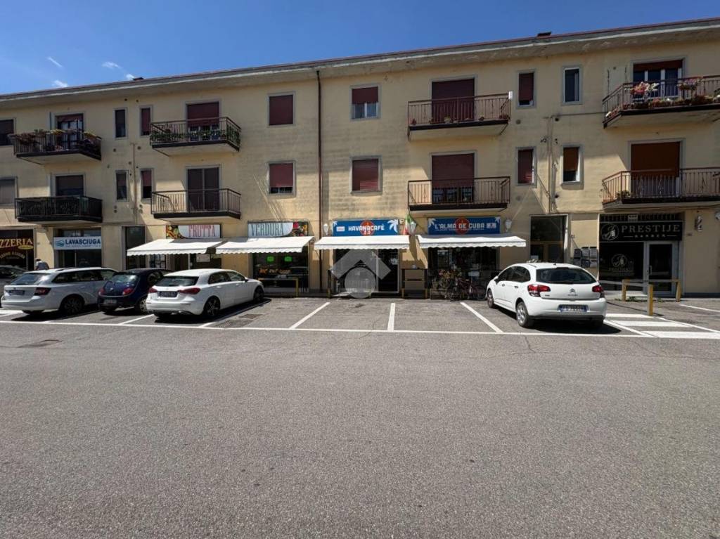 immagine annuncio 3 di 11