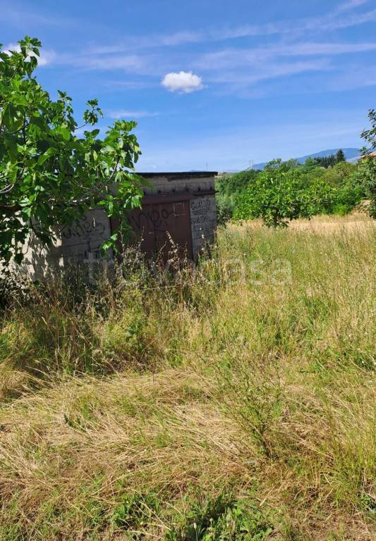 immagine annuncio 4 di 12