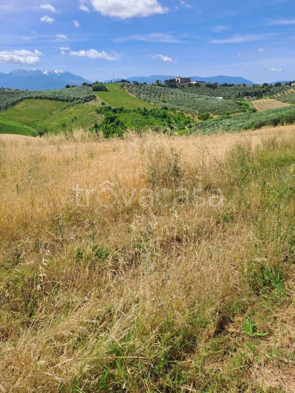 immagine annuncio 10 di 12