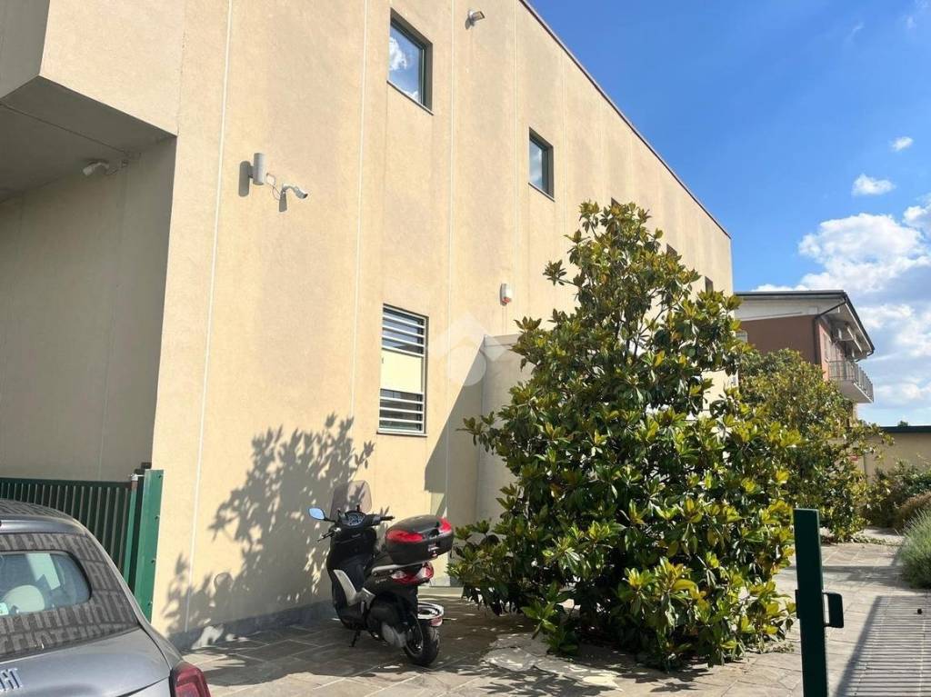 immagine annuncio 3 di 15