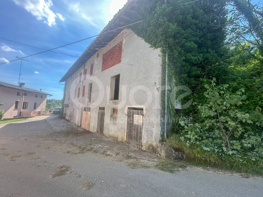 immagine annuncio 2 di 12